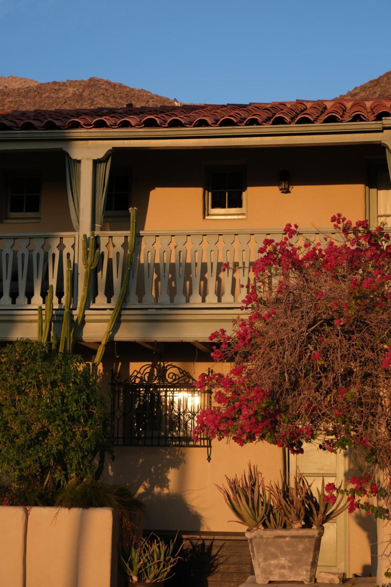 The Willows Palm Springs Bagian luar foto