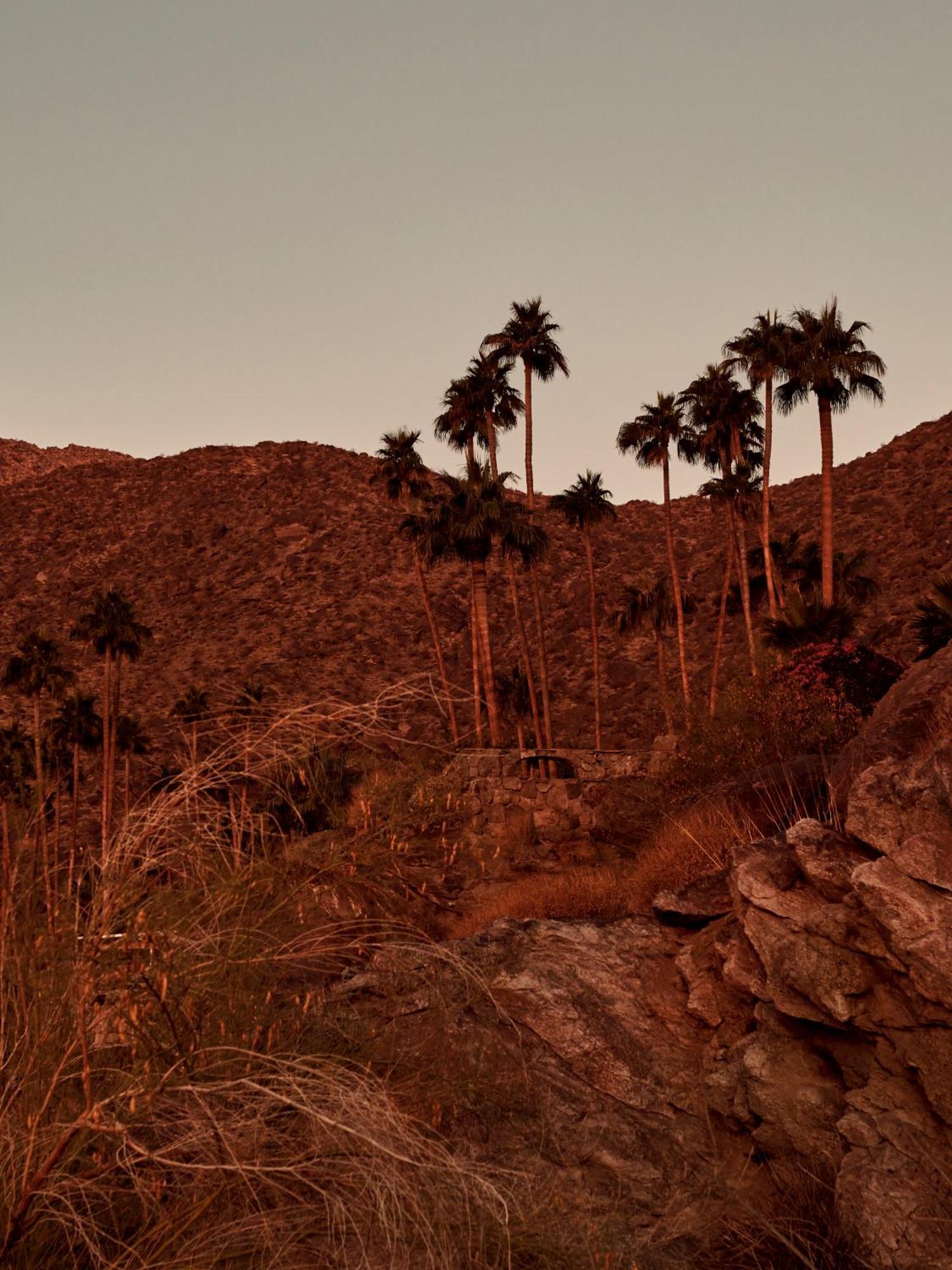 The Willows Palm Springs Bagian luar foto