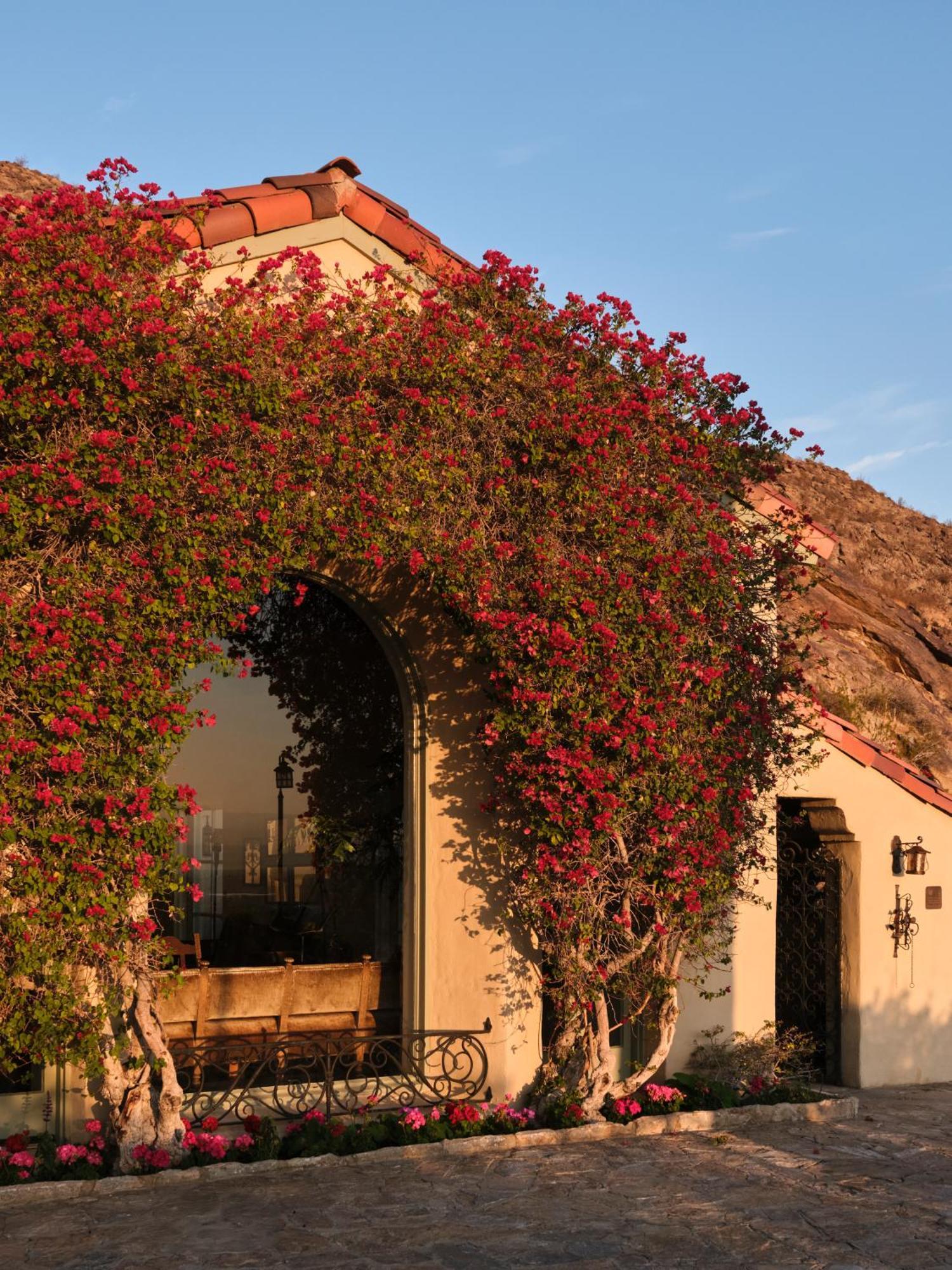The Willows Palm Springs Bagian luar foto