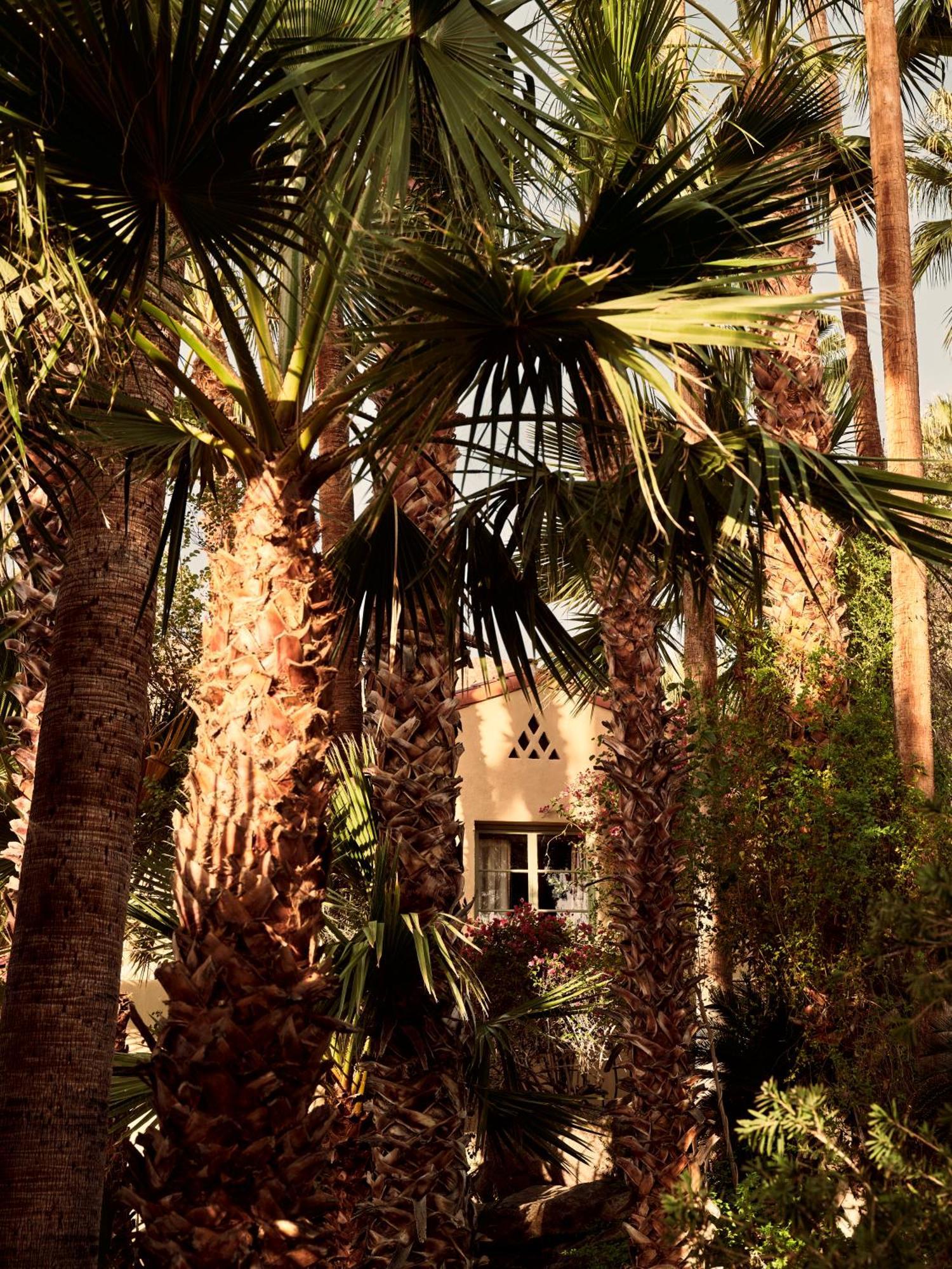 The Willows Palm Springs Bagian luar foto