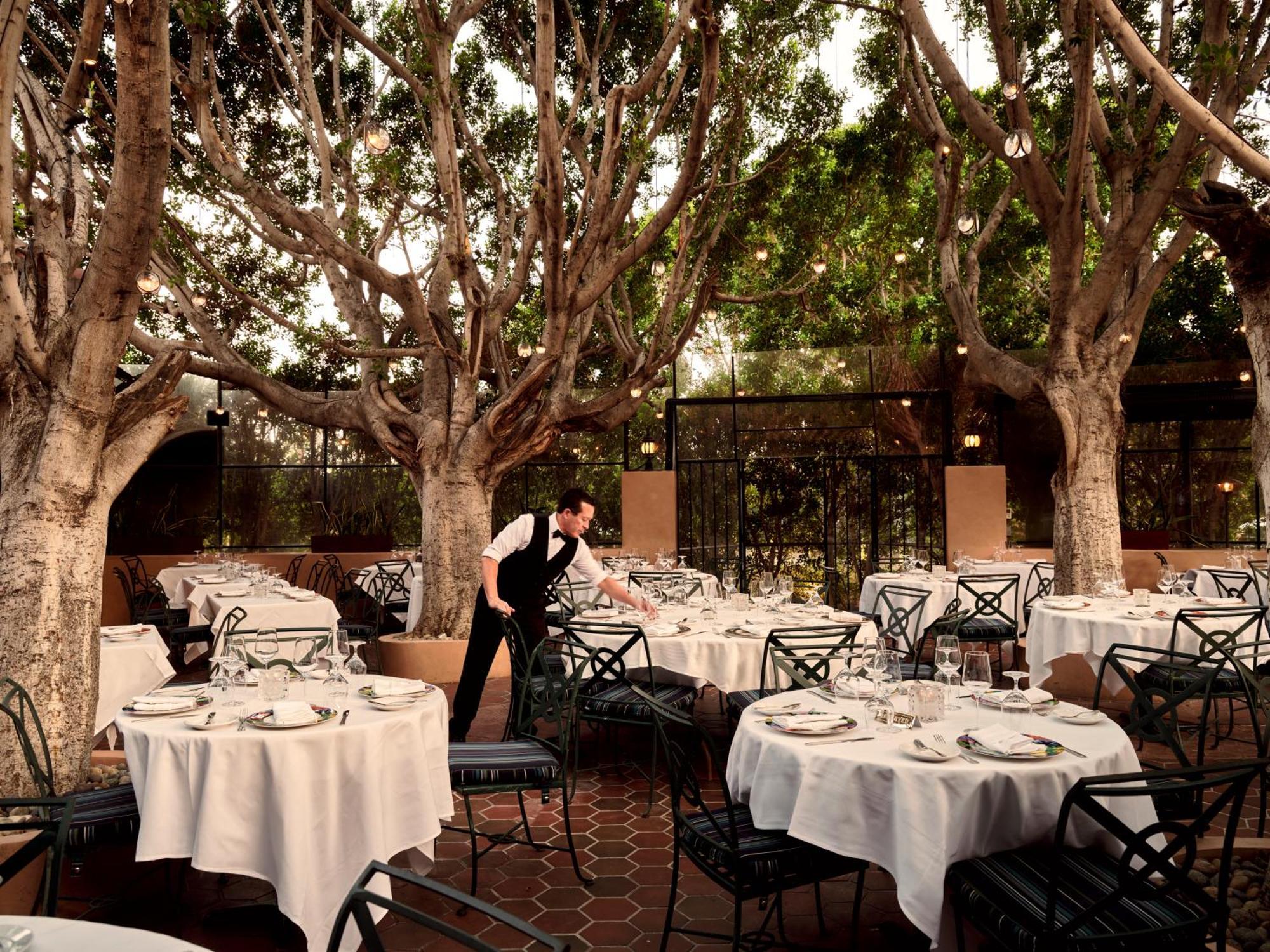 The Willows Palm Springs Bagian luar foto