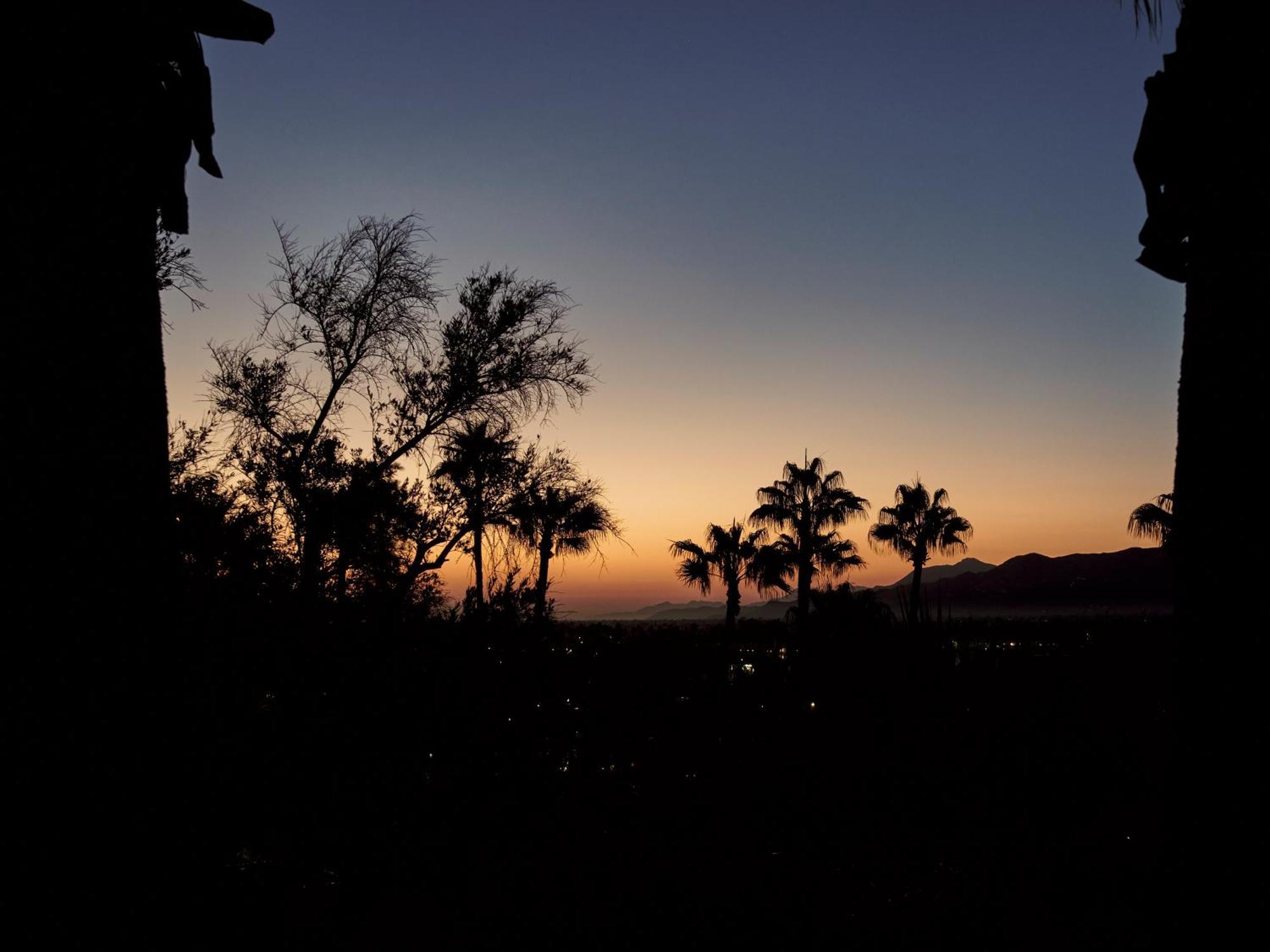 The Willows Palm Springs Bagian luar foto