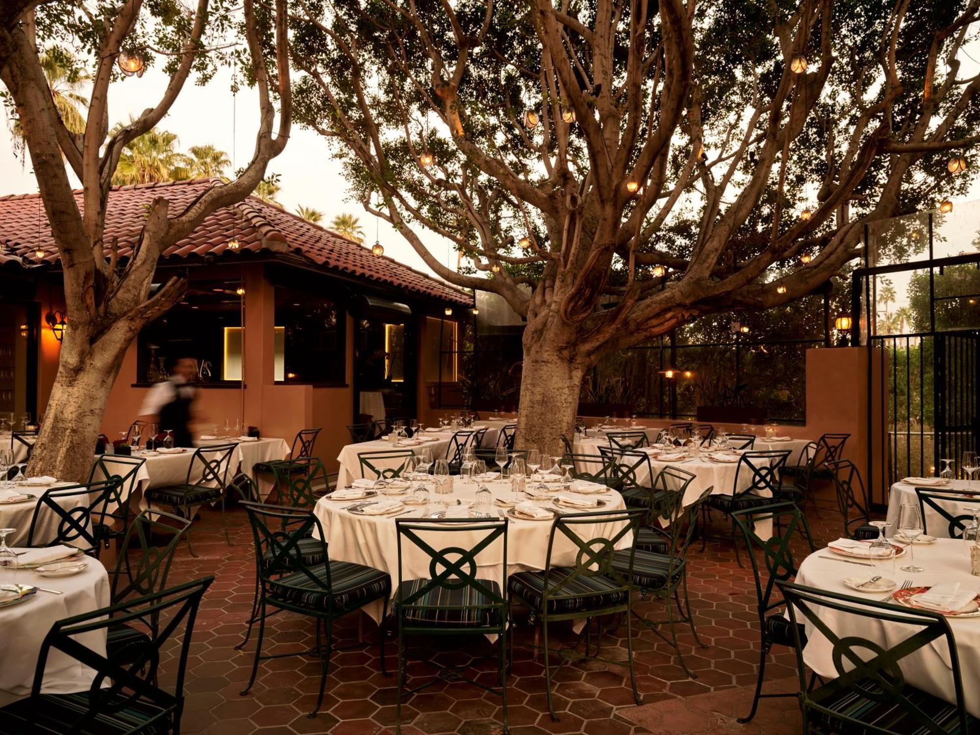 The Willows Palm Springs Bagian luar foto